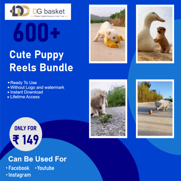 Cute Puppy Reels Bundle 600+