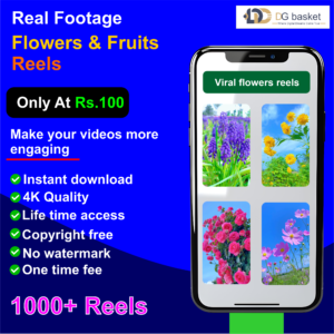 Flowers & Fruits Reels Bundle 1000+