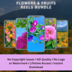 Flowers & Fruits Reels Bundle - Image 2