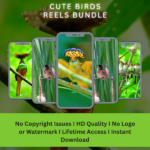 Cute birds reels bundle - Image 2