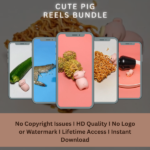 Cute pig reels bundle
