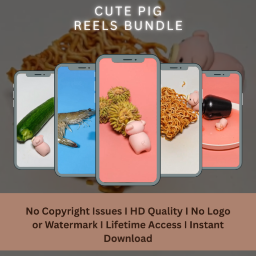 Cute pig reels bundle