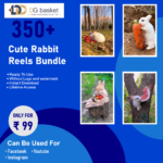 Cute rabbit reels bundle - Image 2