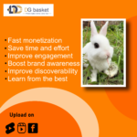 Cute rabbit reels bundle - Image 4