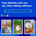 Cute rabbit reels bundle - Image 3