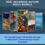 real recorded nature reels bundle - Image 2