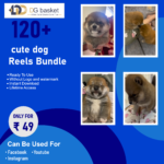 Cute dog reels bundel - Image 2