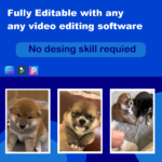 Cute dog reels bundel - Image 3