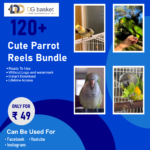 Cute parrot reels bundle - Image 2