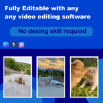 Cute puppy reels bundle - Image 3