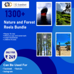 Nature and forest reels bundle