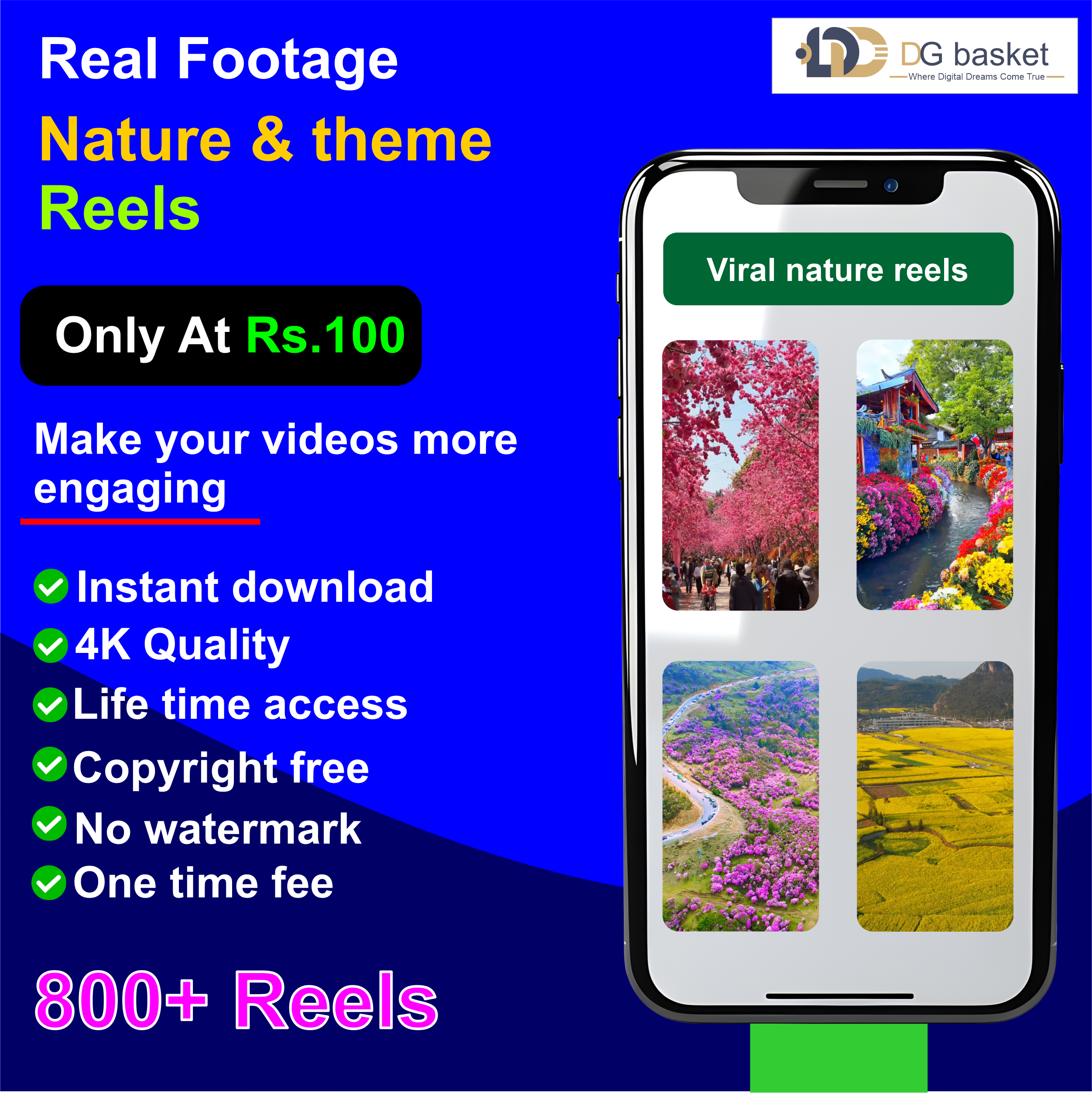 real recorded nature reels png real recorded nature reels bundle - Image 1