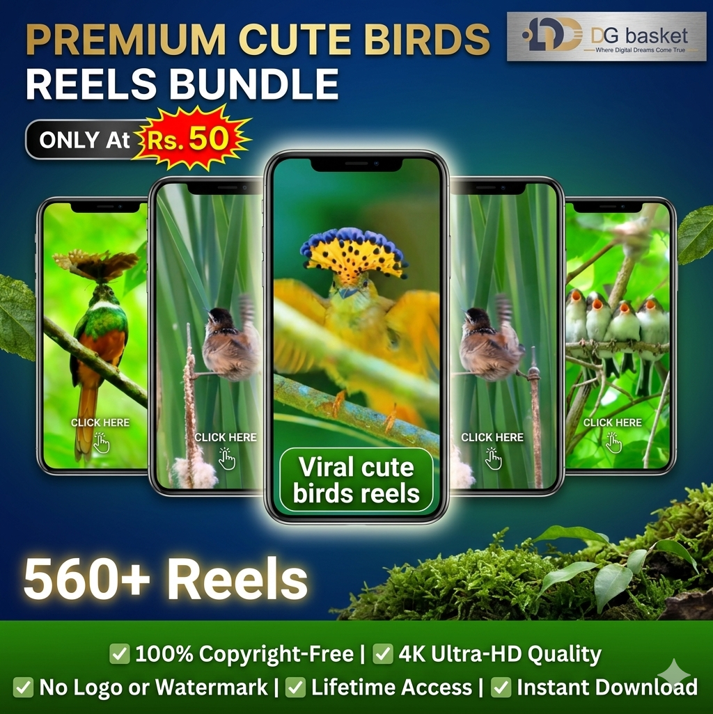 cute birds reels bundle